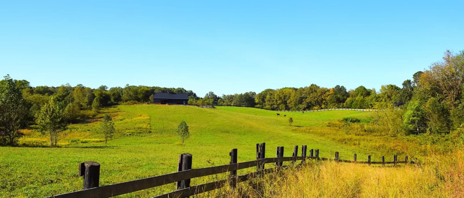 Rolling pasture and early autumn trees in Barren County, Kentucky